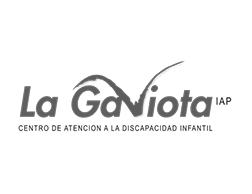 La Gaviota