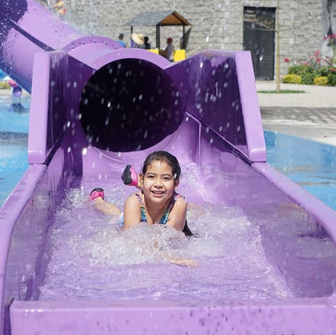 comidas y snacks diarios